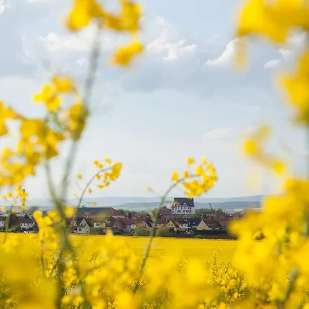 Schloss Heringen Heringen (Nordhausen)