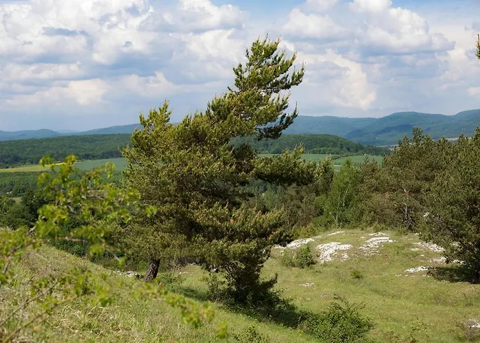 Schloss Heringen 3* Heringen (Nordhausen)