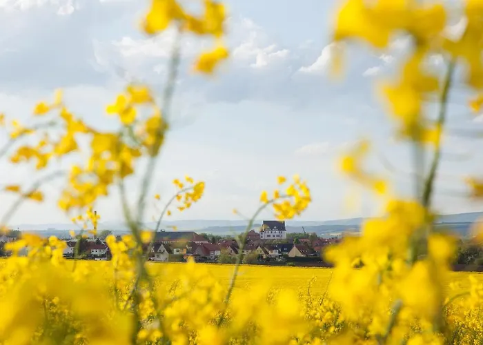 Schloss Heringen Heringen (Nordhausen)